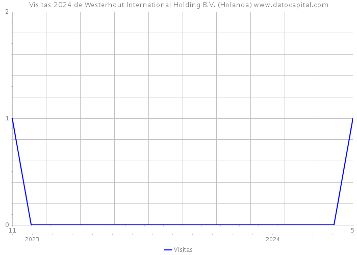 Visitas 2024 de Westerhout International Holding B.V. (Holanda) 