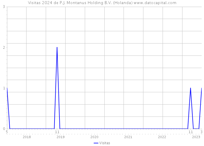 Visitas 2024 de P.J. Montanus Holding B.V. (Holanda) 