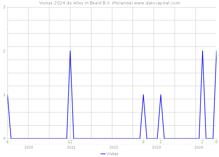 Visitas 2024 de Alles in Beeld B.V. (Holanda) 