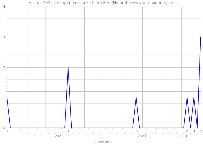 Visitas 2024 de Ingenieursburo Pilon B.V. (Holanda) 