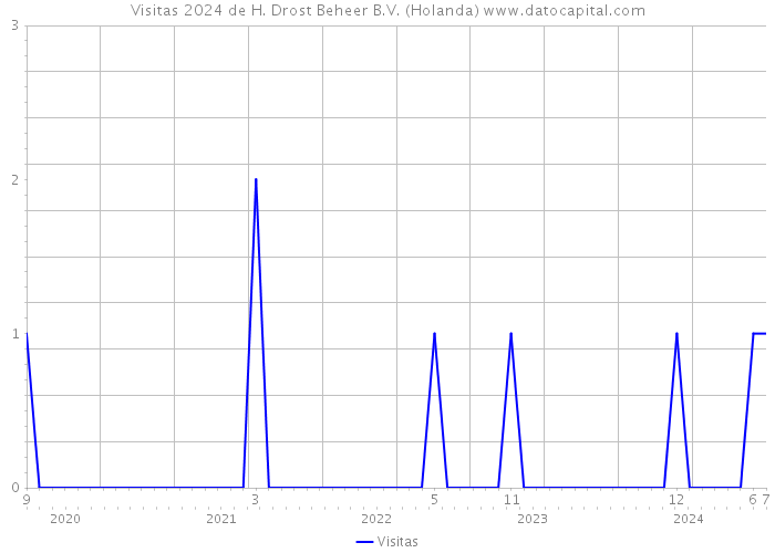 Visitas 2024 de H. Drost Beheer B.V. (Holanda) 