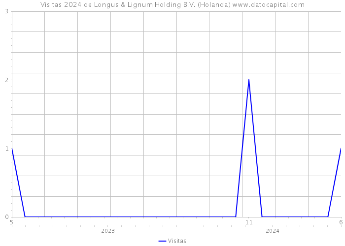 Visitas 2024 de Longus & Lignum Holding B.V. (Holanda) 