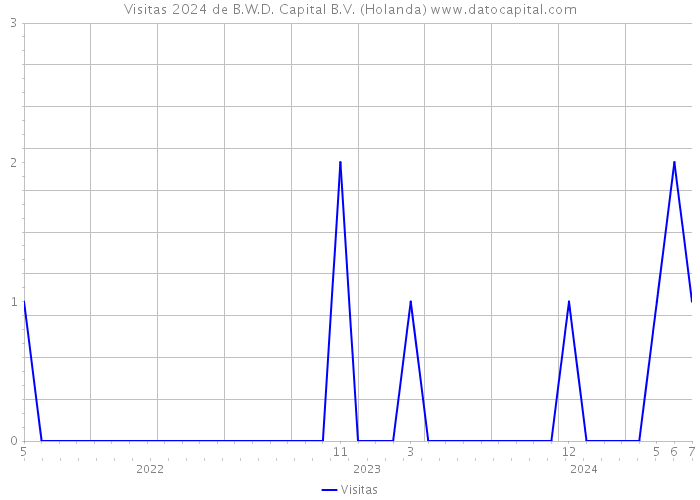 Visitas 2024 de B.W.D. Capital B.V. (Holanda) 