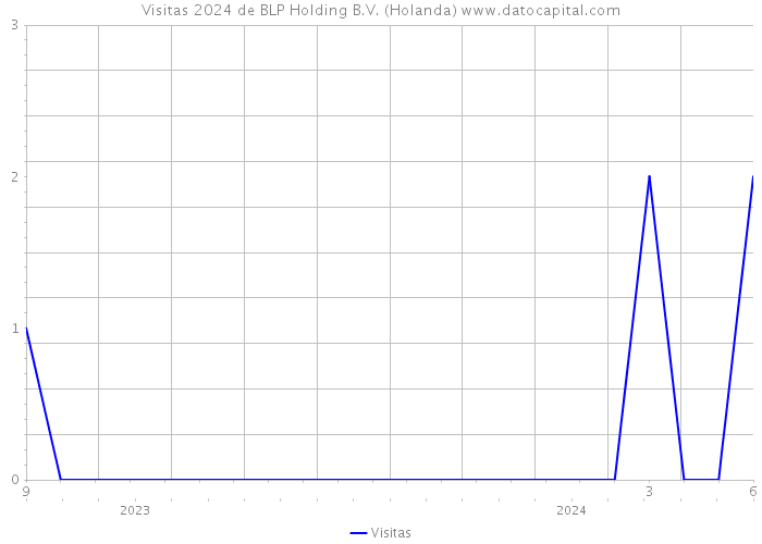 Visitas 2024 de BLP Holding B.V. (Holanda) 