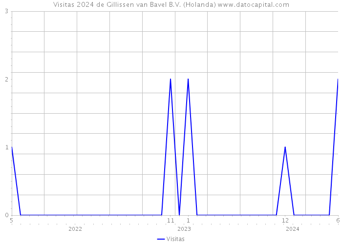 Visitas 2024 de Gillissen van Bavel B.V. (Holanda) 