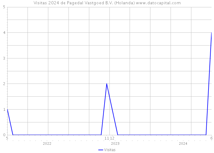 Visitas 2024 de Pagedal Vastgoed B.V. (Holanda) 