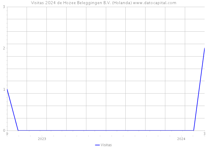 Visitas 2024 de Hozee Beleggingen B.V. (Holanda) 