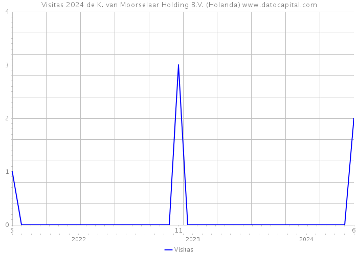 Visitas 2024 de K. van Moorselaar Holding B.V. (Holanda) 