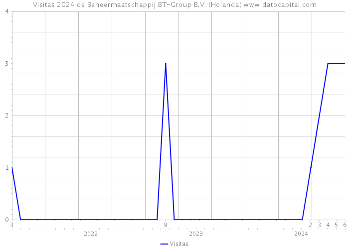 Visitas 2024 de Beheermaatschappij BT-Group B.V. (Holanda) 