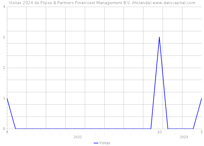Visitas 2024 de Flipse & Partners Financieel Management B.V. (Holanda) 