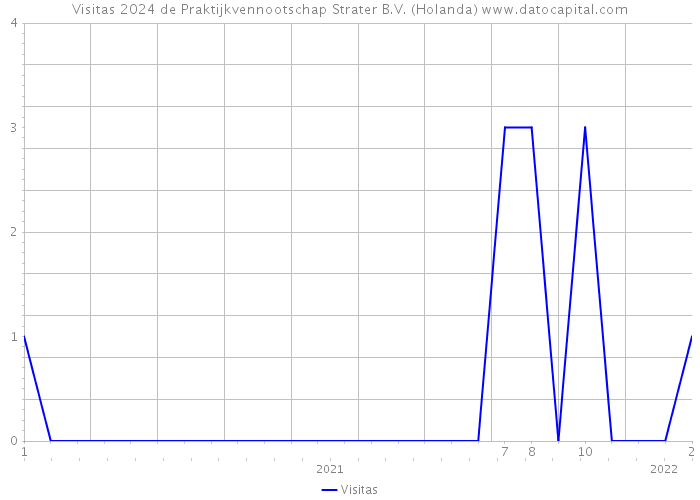 Visitas 2024 de Praktijkvennootschap Strater B.V. (Holanda) 