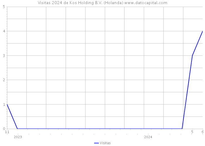 Visitas 2024 de Kos Holding B.V. (Holanda) 