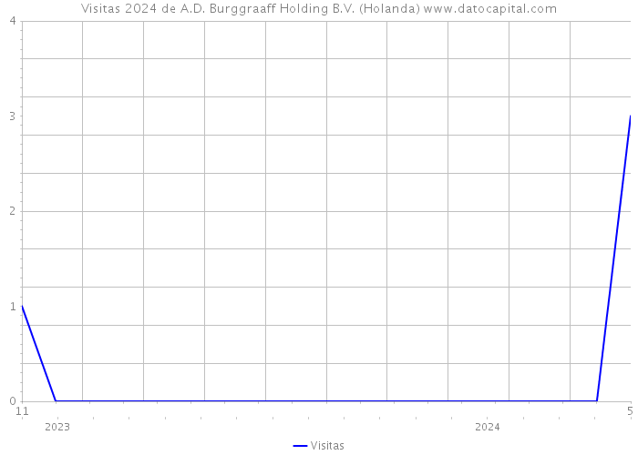 Visitas 2024 de A.D. Burggraaff Holding B.V. (Holanda) 