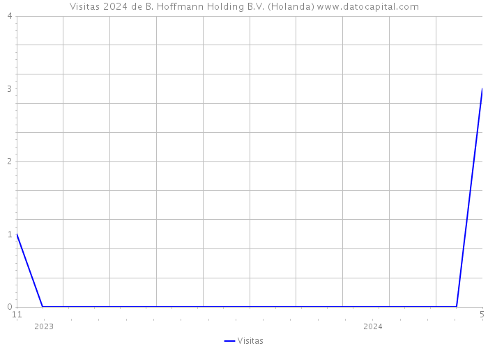 Visitas 2024 de B. Hoffmann Holding B.V. (Holanda) 