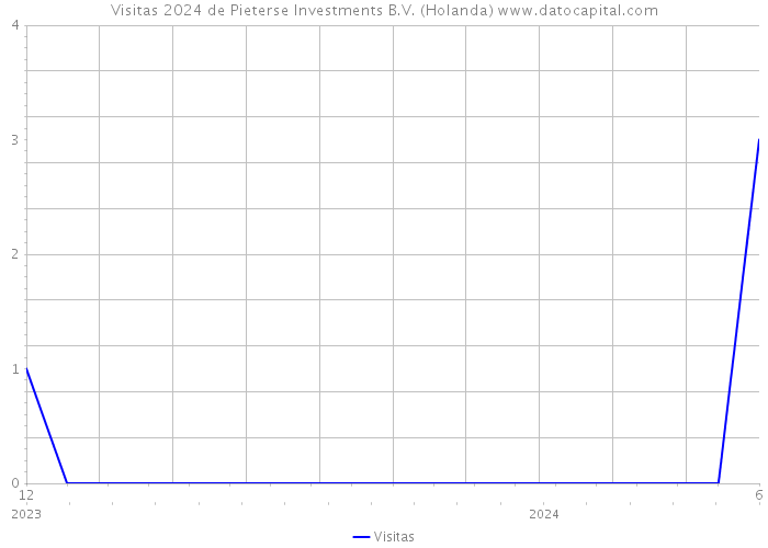 Visitas 2024 de Pieterse Investments B.V. (Holanda) 