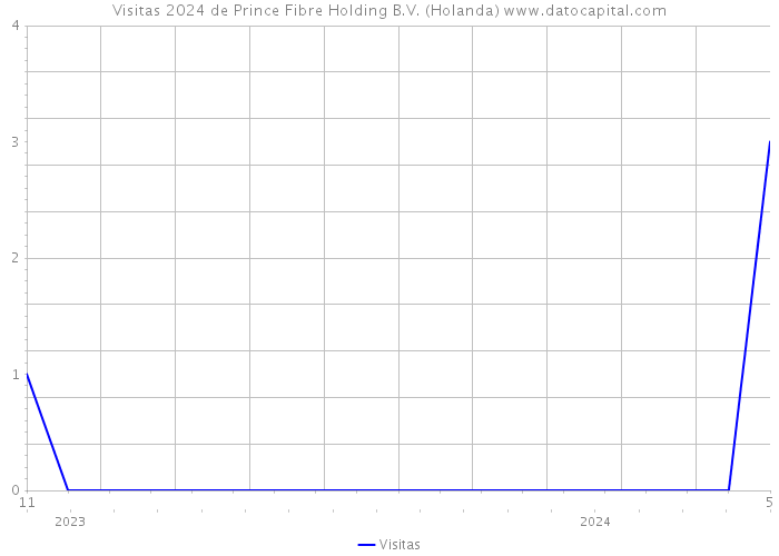 Visitas 2024 de Prince Fibre Holding B.V. (Holanda) 