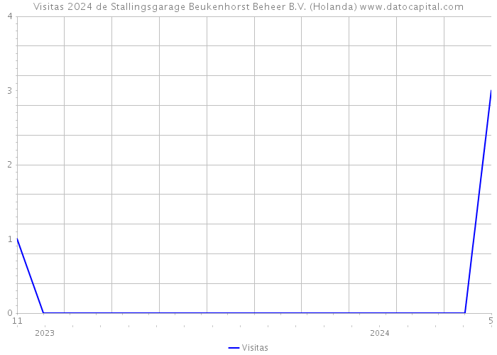 Visitas 2024 de Stallingsgarage Beukenhorst Beheer B.V. (Holanda) 