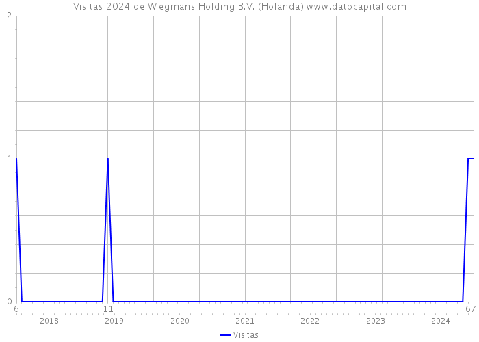 Visitas 2024 de Wiegmans Holding B.V. (Holanda) 