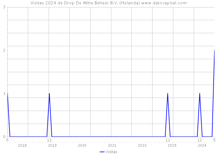 Visitas 2024 de Drop De Witte Beheer B.V. (Holanda) 