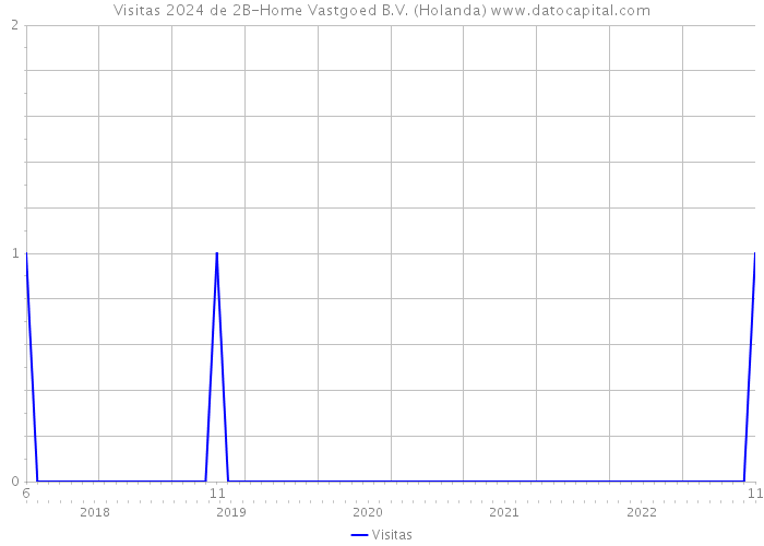 Visitas 2024 de 2B-Home Vastgoed B.V. (Holanda) 