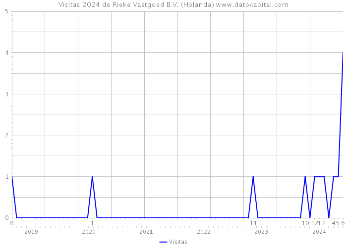 Visitas 2024 de Rieke Vastgoed B.V. (Holanda) 