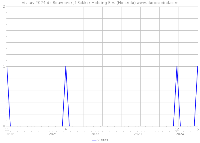 Visitas 2024 de Bouwbedrijf Bakker Holding B.V. (Holanda) 