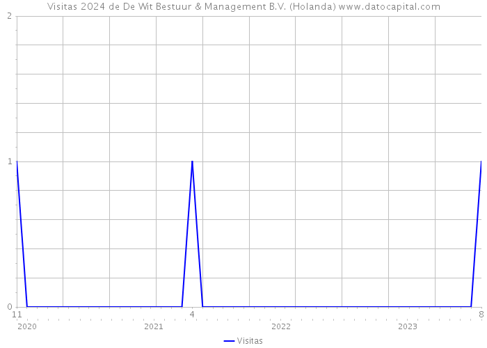 Visitas 2024 de De Wit Bestuur & Management B.V. (Holanda) 