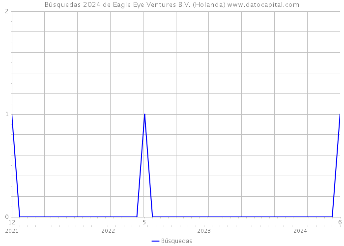 Búsquedas 2024 de Eagle Eye Ventures B.V. (Holanda) 