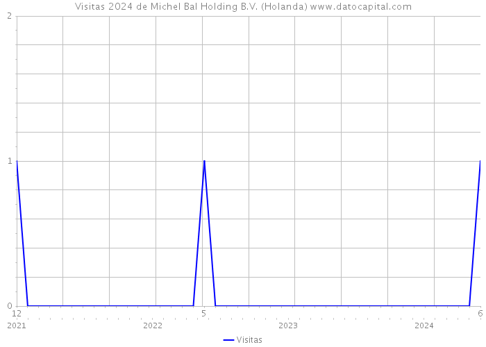 Visitas 2024 de Michel Bal Holding B.V. (Holanda) 