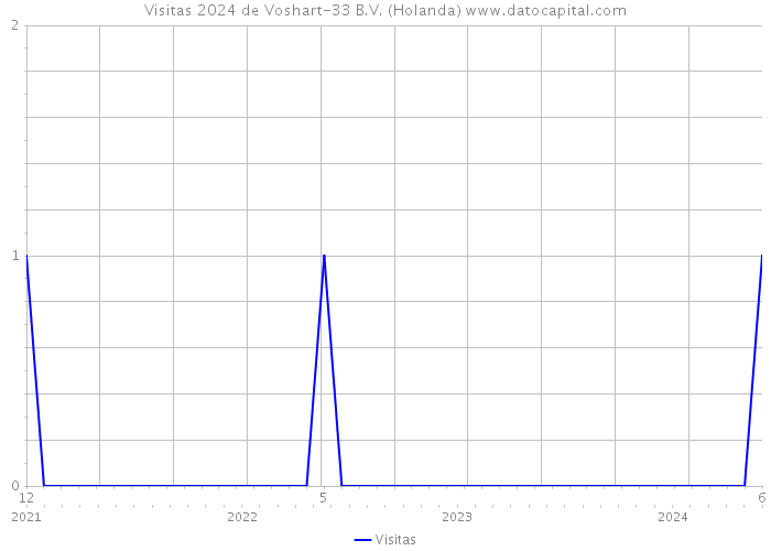Visitas 2024 de Voshart-33 B.V. (Holanda) 