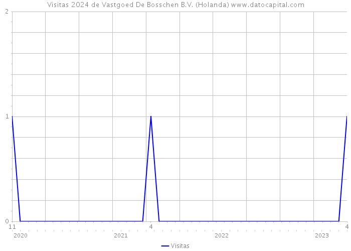 Visitas 2024 de Vastgoed De Bosschen B.V. (Holanda) 