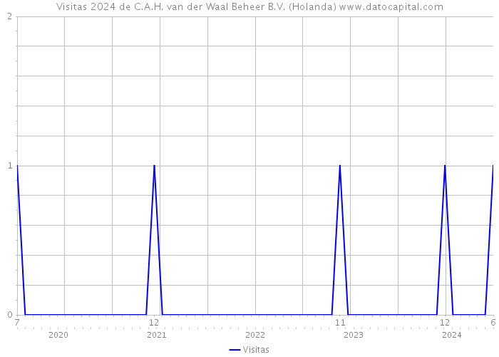 Visitas 2024 de C.A.H. van der Waal Beheer B.V. (Holanda) 