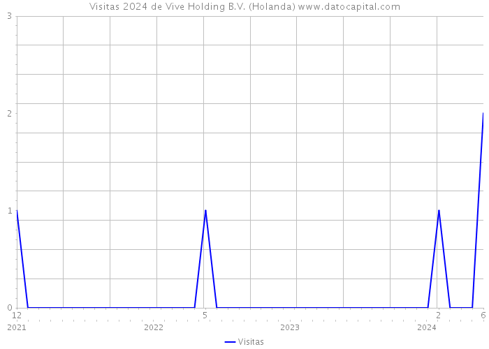Visitas 2024 de Vive Holding B.V. (Holanda) 