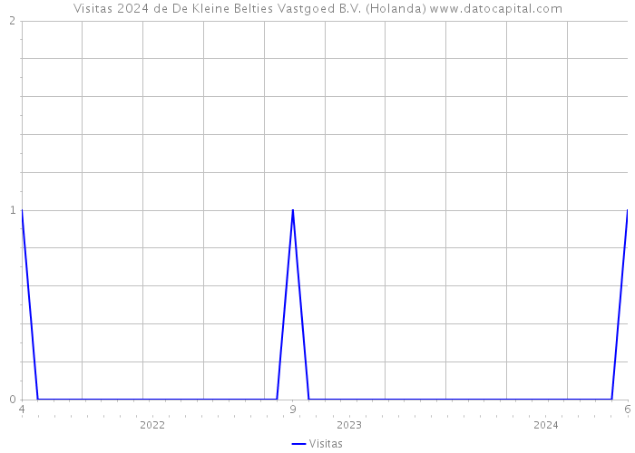 Visitas 2024 de De Kleine Belties Vastgoed B.V. (Holanda) 