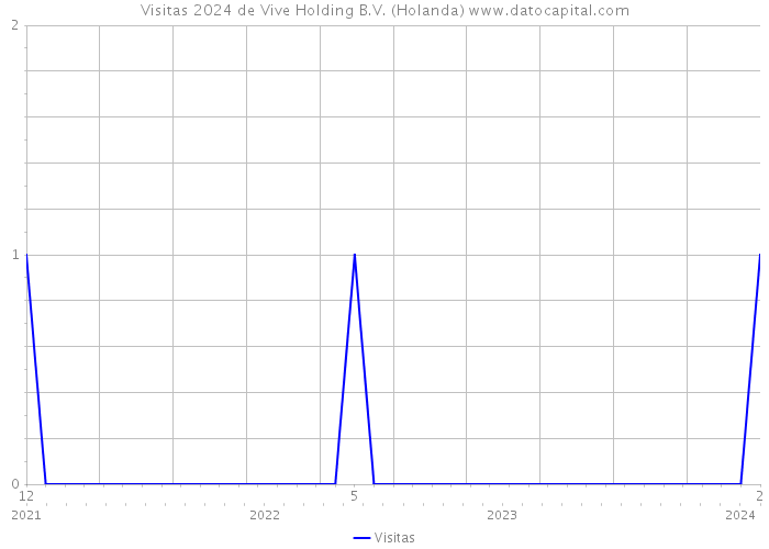 Visitas 2024 de Vive Holding B.V. (Holanda) 