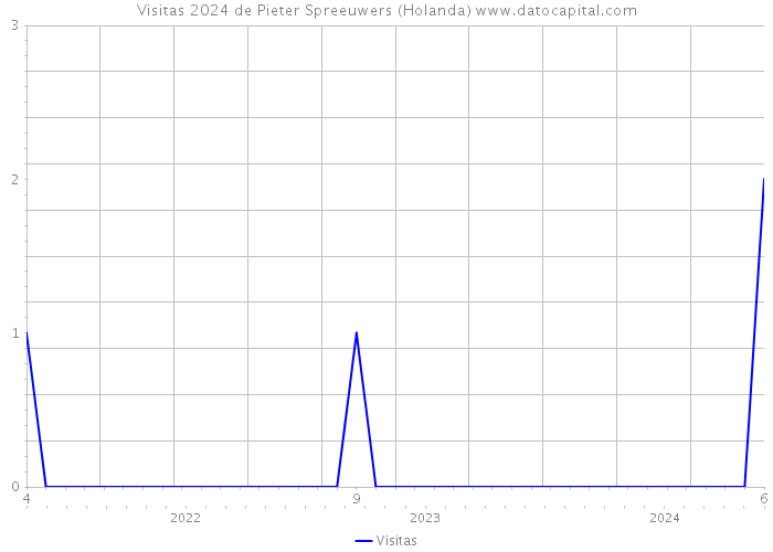 Visitas 2024 de Pieter Spreeuwers (Holanda) 