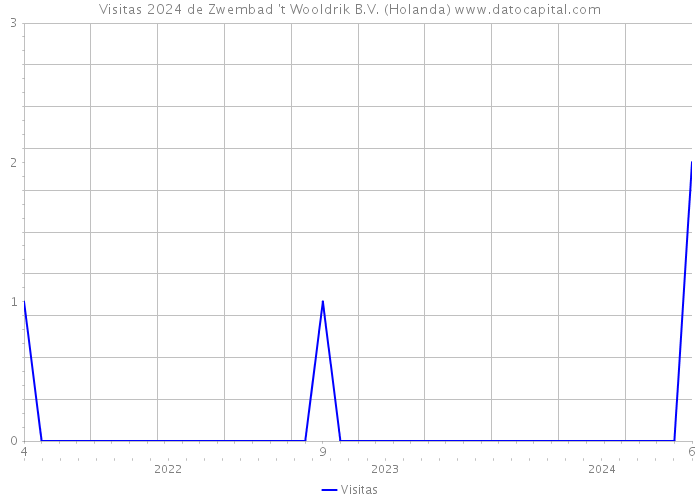 Visitas 2024 de Zwembad 't Wooldrik B.V. (Holanda) 