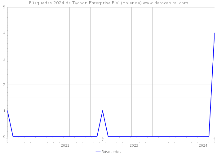Búsquedas 2024 de Tycoon Enterprise B.V. (Holanda) 