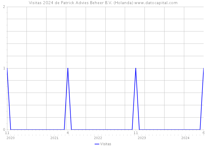 Visitas 2024 de Patrick Advies Beheer B.V. (Holanda) 