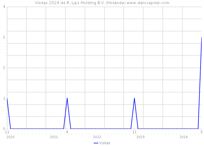 Visitas 2024 de R. Lips Holding B.V. (Holanda) 