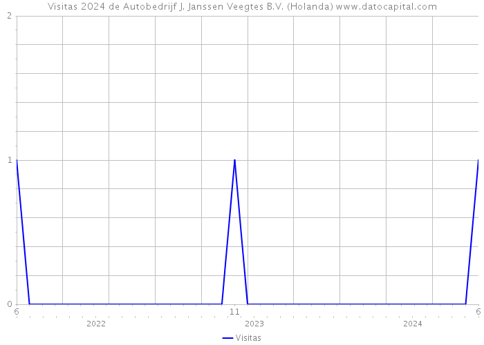 Visitas 2024 de Autobedrijf J. Janssen Veegtes B.V. (Holanda) 