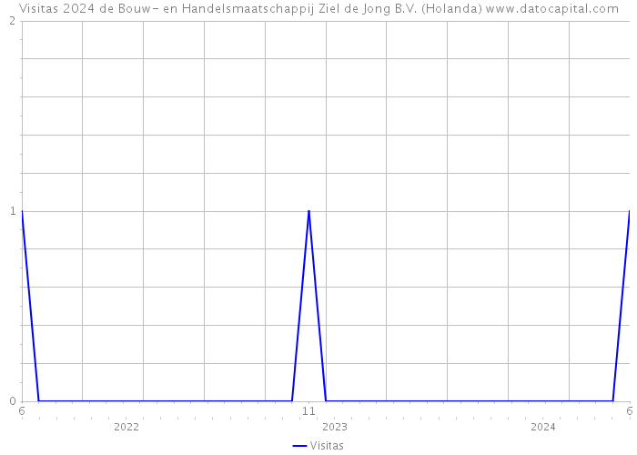 Visitas 2024 de Bouw- en Handelsmaatschappij Ziel de Jong B.V. (Holanda) 