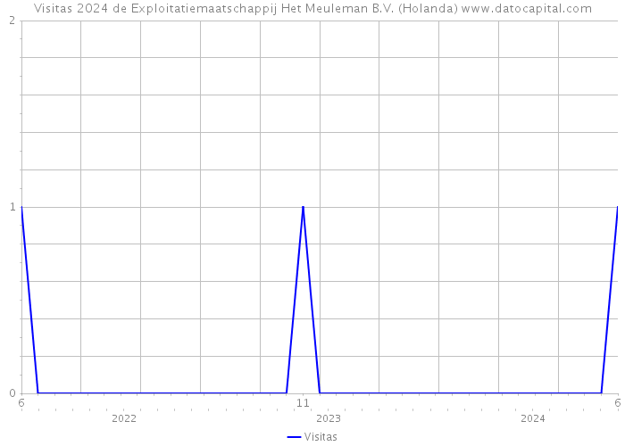Visitas 2024 de Exploitatiemaatschappij Het Meuleman B.V. (Holanda) 