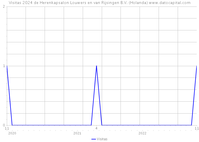 Visitas 2024 de Herenkapsalon Louwers en van Rijsingen B.V. (Holanda) 