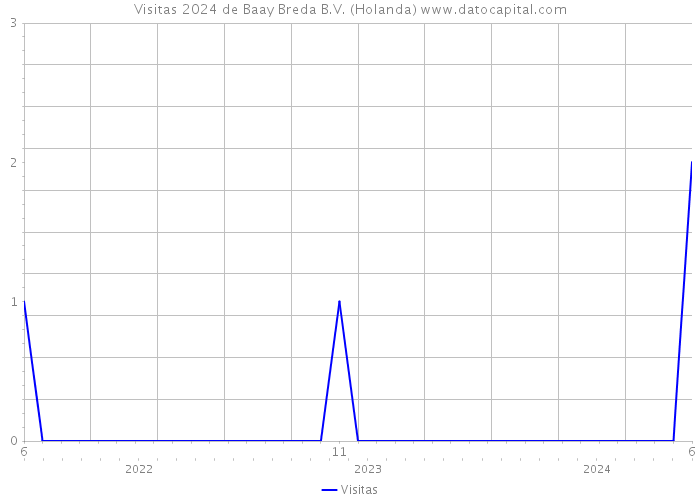 Visitas 2024 de Baay Breda B.V. (Holanda) 