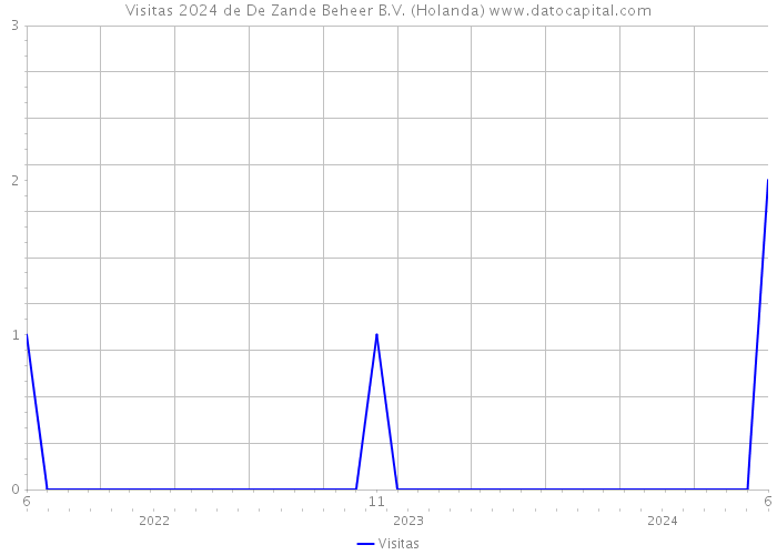 Visitas 2024 de De Zande Beheer B.V. (Holanda) 