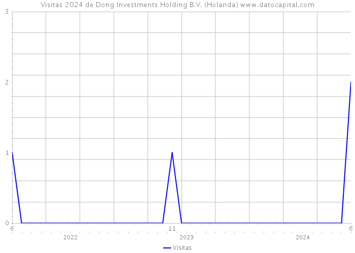 Visitas 2024 de Dong Investments Holding B.V. (Holanda) 