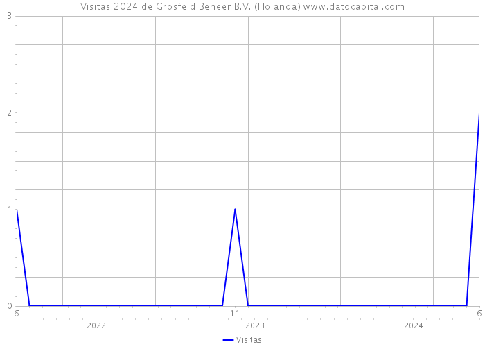 Visitas 2024 de Grosfeld Beheer B.V. (Holanda) 