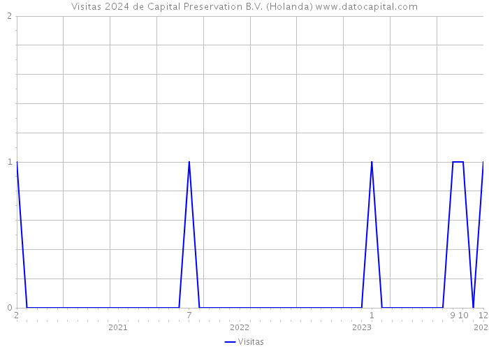 Visitas 2024 de Capital Preservation B.V. (Holanda) 