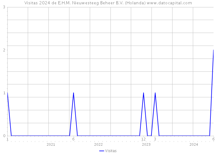 Visitas 2024 de E.H.M. Nieuwesteeg Beheer B.V. (Holanda) 